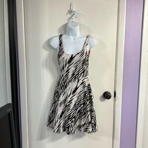 Zebra Print Skater Dress